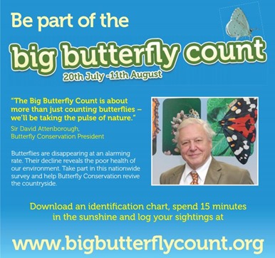 BigButterflyCount Poster
