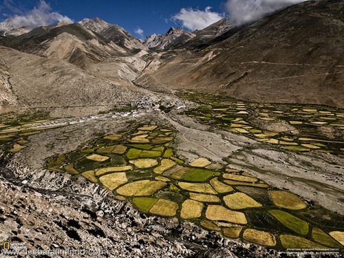 wallpapers national geographic desbaratinando  (23)