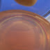 R0028401.JPG