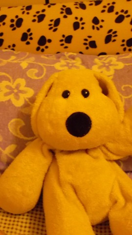 SAM_0030