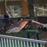 Cub Pack Holiday - Skreens Park 2012 - DSC_0138.jpg