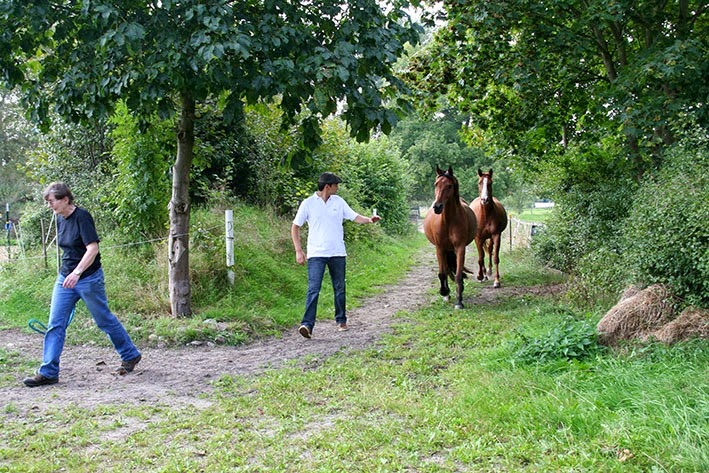 [IMG_5524%255B2%255D.jpg]