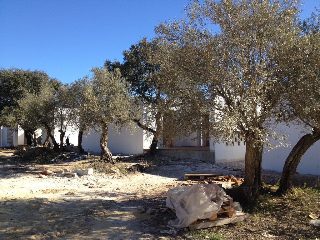 [IMG_1275%255B3%255D.jpg]