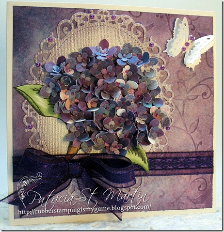 Hydrangea for Someone Special 2012