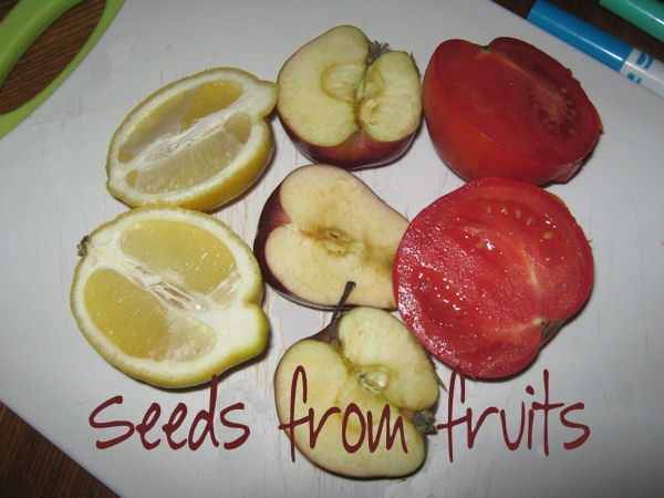 [Fruit-seeds.jpg]