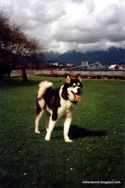Vancouver - Stanley Park