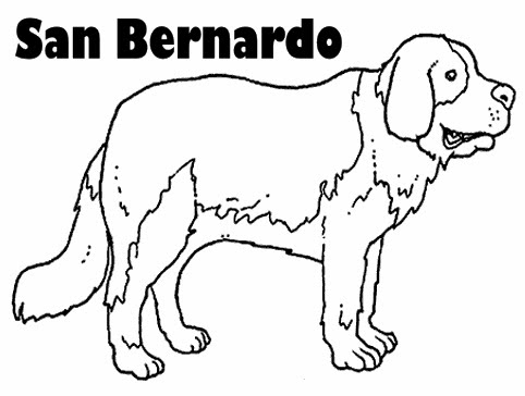 PERRO SAN BERNARDO PARA COLOREAR – Dibujos para colorear