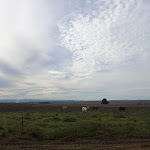 20120414_090634.jpg