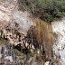 Camí dels Degotalls