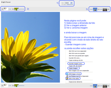 imagebase - brigth flower imagebase - brigth flower