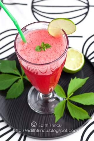[limonadadepepene15.jpg]