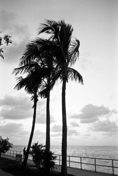 Film-34-15