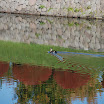hokkaido_104.jpg