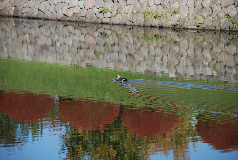 hokkaido_104.jpg