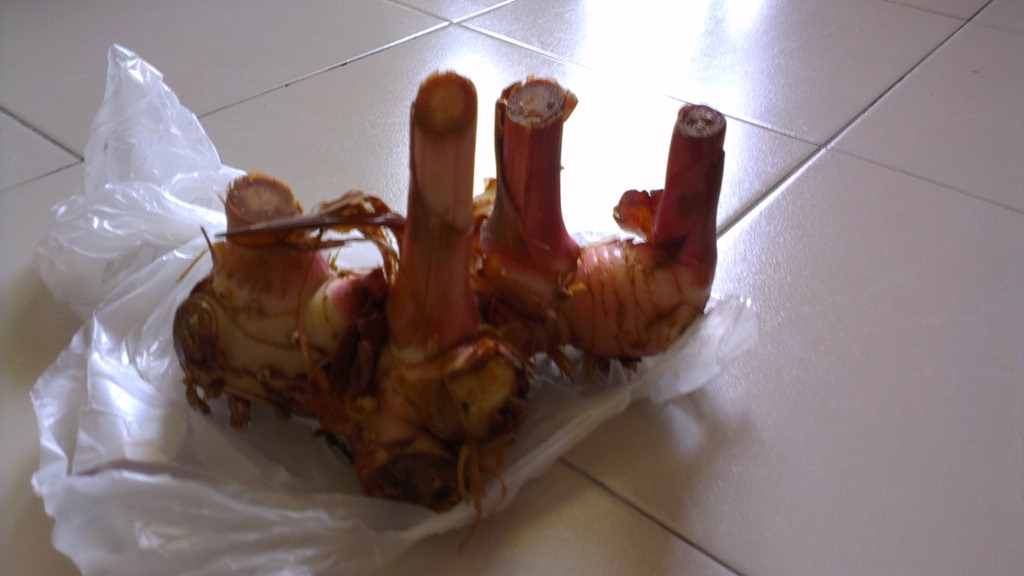 [IMAG37214.jpg]