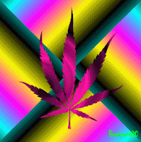 \\data1\27230$\My Pictures\animation\animation7ad5.gif