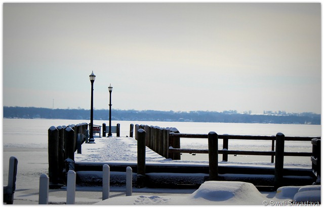 IMG_6556 IMG_6556