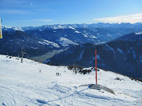 IMG_3925.jpg