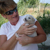Our Marina dog "Marina" had 8 puppes