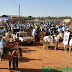 CavalgadaFelixlandia2011-064.jpg