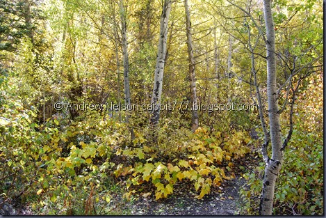 DSC_0543 DSC_0543