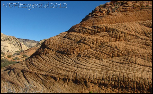 IMG_0730ElephantSkinTextureNavajoSandstone