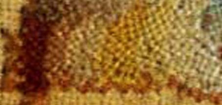 [Full_Sampler__trellis_piece_1%255B9%255D.jpg]
