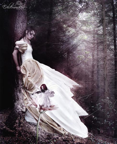 Bloody Tear In A Wood Of Fear, Gothic Girls
