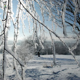 Ladovská zima 2010