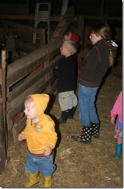 IMG_4600 IMG_4600