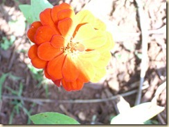 IMG_0854 IMG_0854