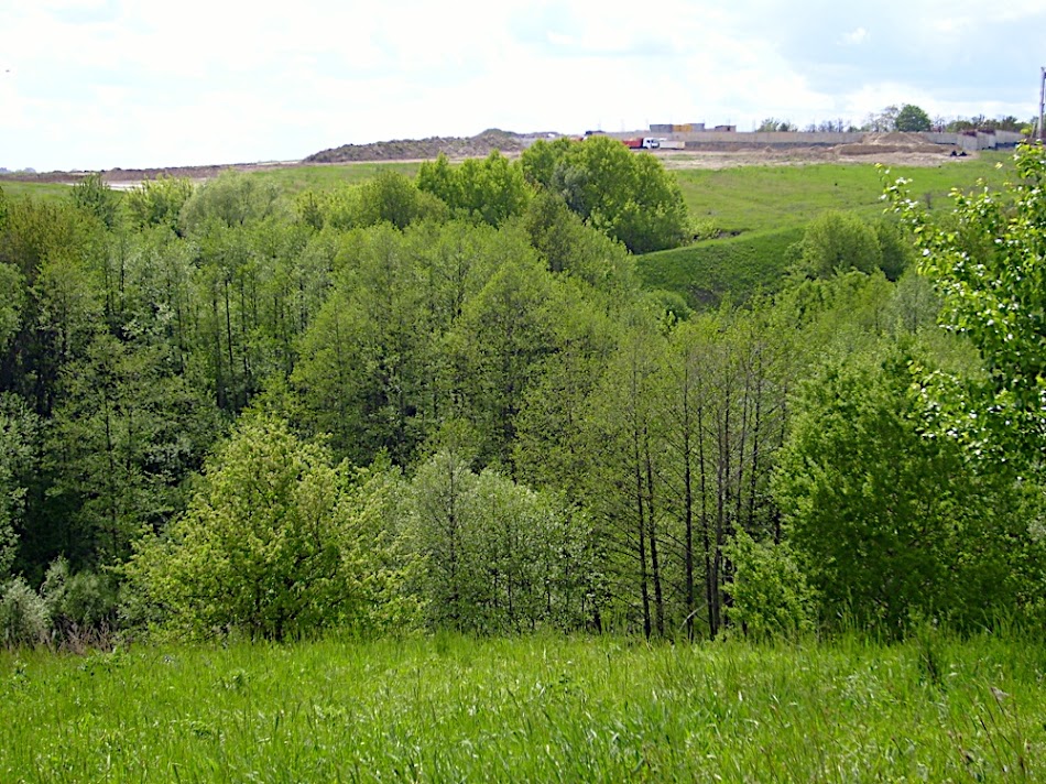 S7000061.JPG