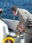 Image4.jpg