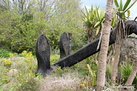 IMG_7999.JPG Photo