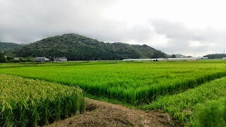20140814-009.jpg