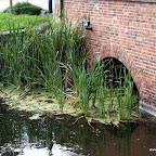 20100824_093_small.JPG