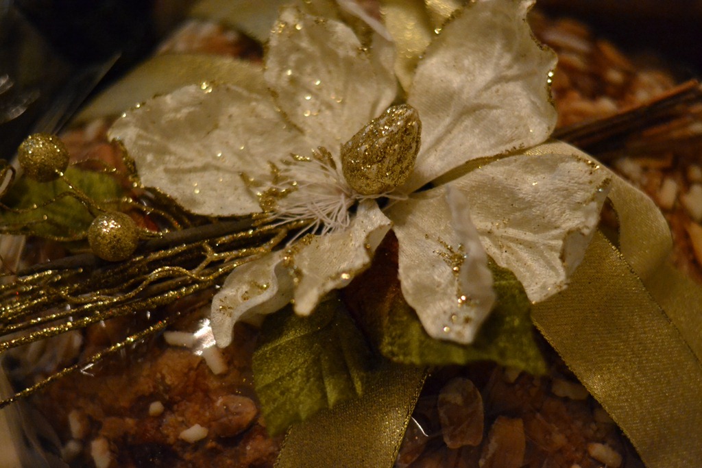 [DSC_0037%255B4%255D.jpg]