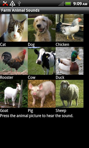 Farm Animal Sounds