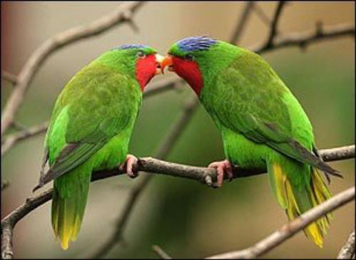 Come Fall In Love
