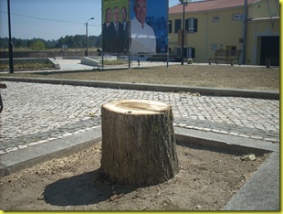 DSCN2658 DSCN2658