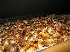IMG_4725_512.JPG