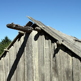 IMG_8203.JPG
