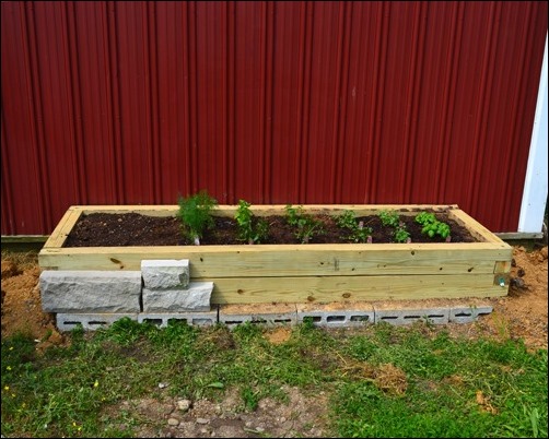 herb garden with stone face herb garden with stone face