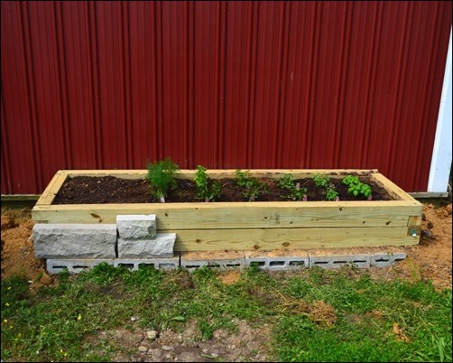 herb garden with stone face