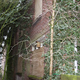 IMG_5990.JPG