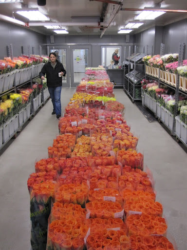 98 percent of the roses in the shop are from Ecuador, other roses are brought in from Japan.