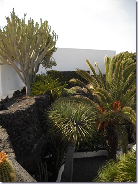 Lanzarote mare 476 Lanzarote mare 476