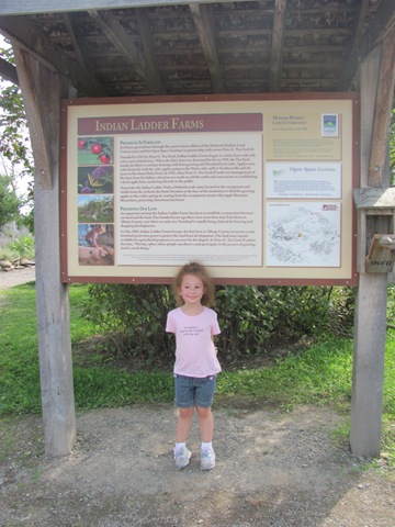 [IMG_0229%255B3%255D.jpg]