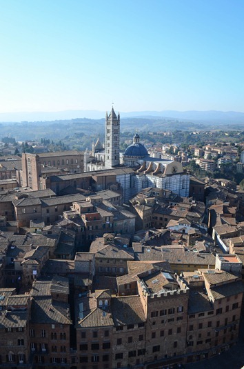 [climbing%2520top%2520view6%255B4%255D.jpg]