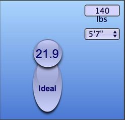 [bmi_calculator_rizeworkshop%255B7%255D.jpg]